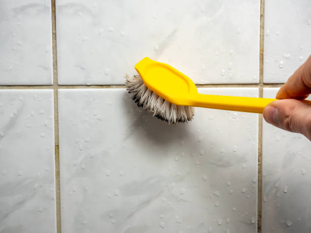 Best Professional Mold Removal  in Venice Gardens, FL