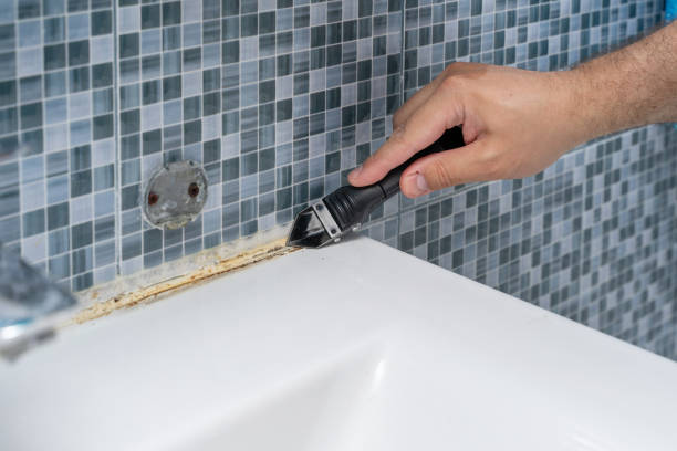 Best Mold Testing  in Venice Gardens, FL