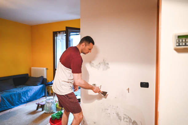 Mold Removal and Inspection in Venice Gardens, FL